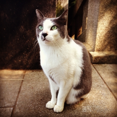 男のInstagram撮影術　第1回