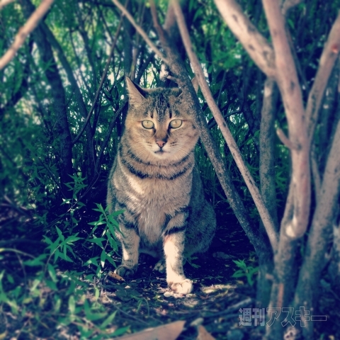 男のInstagram撮影術　第1回