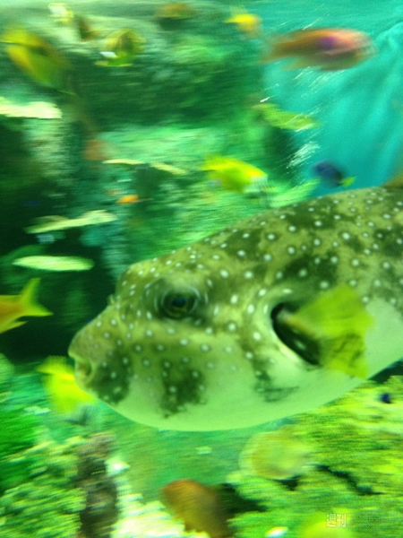 男のInstagram撮影術 第3回