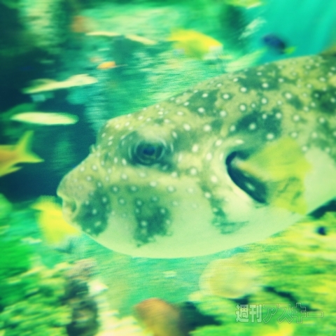 男のInstagram撮影術 第3回