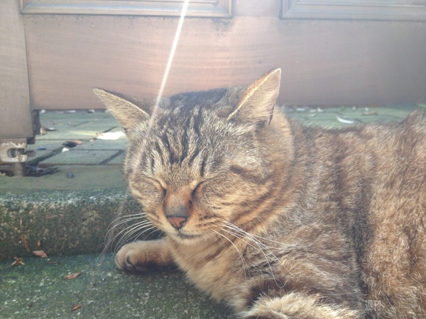 男のInstagram撮影術 第3回