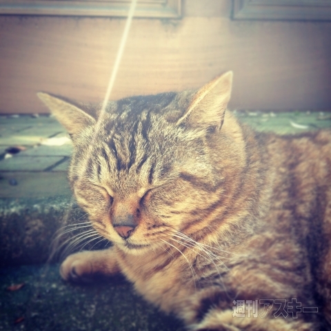 男のInstagram撮影術 第3回