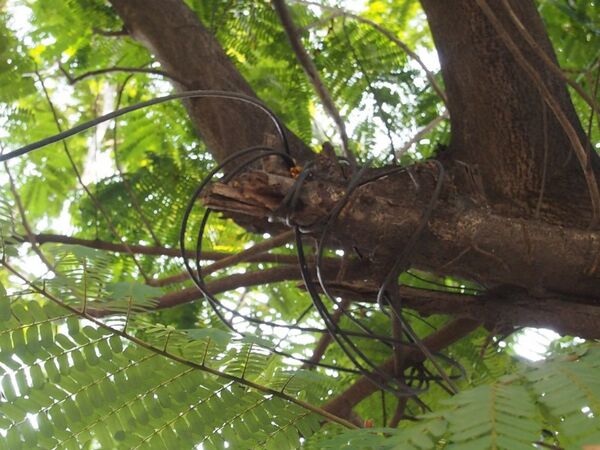 「インドですから」・・・なケーブル事情