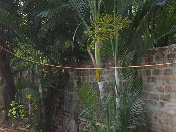 「インドですから」・・・なケーブル事情