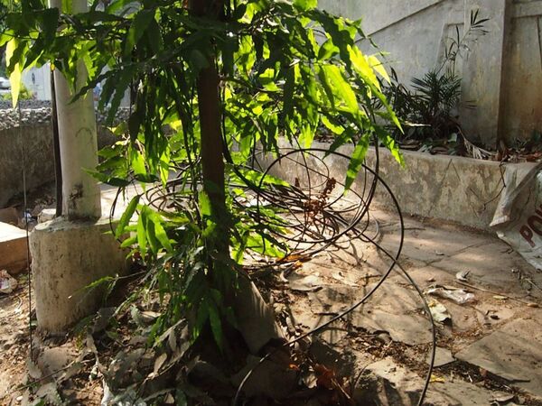 「インドですから」・・・なケーブル事情