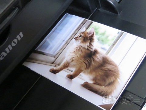 工作系プリンター活用術（おまけ）