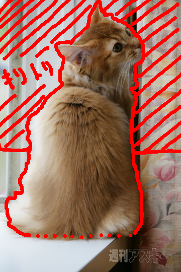 工作系プリンター活用術（おまけ）