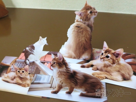 工作系プリンター活用術（おまけ）