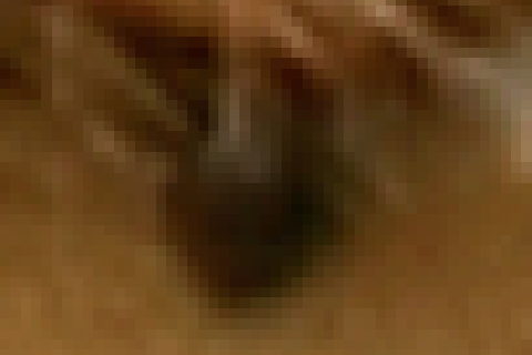 RetinaなMacBook Proの画面を超接写撮影してみた