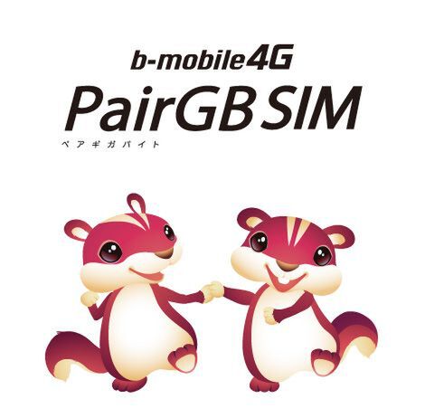 PairGB SIM