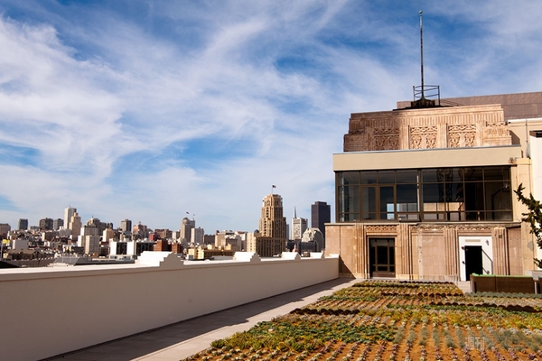 ツイッター　テンダーロイン新社屋