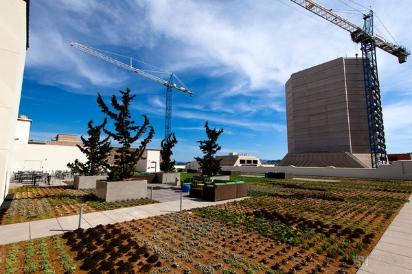 ツイッター　テンダーロイン新社屋