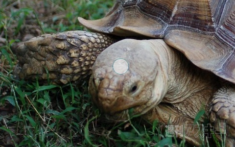 ウィンドウズ8の予習（第3回）