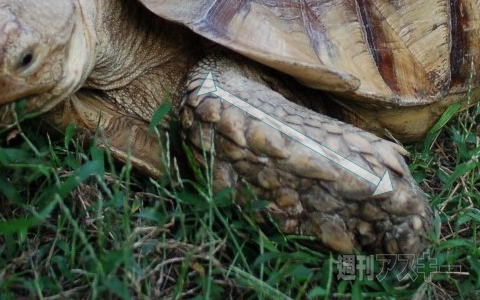 ウィンドウズ8の予習（第3回）