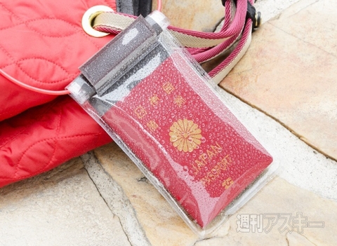 超ぷくぷくスマホポーチ