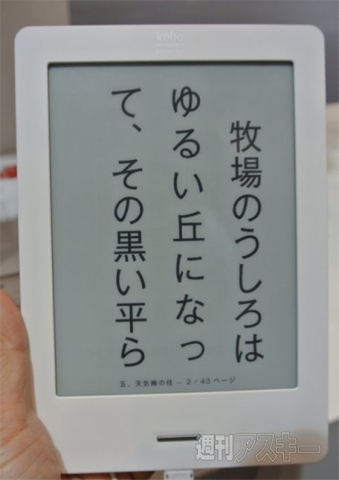 楽天koboに、手塚治虫のWifi!? 大盛況ブックフェアに行ってきました