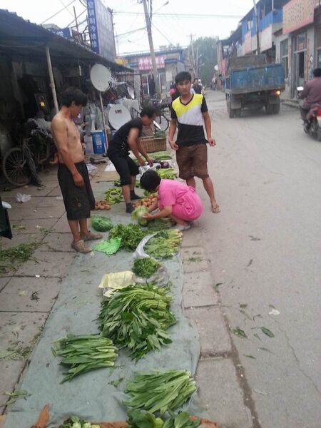 アジア周遊ルーターを持って6都市を移動！