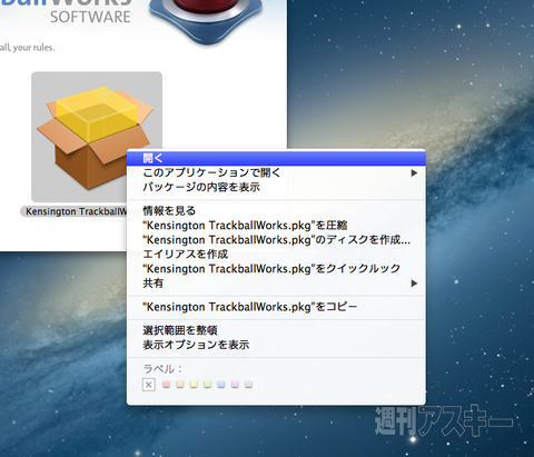 Mountain_Lion_TS