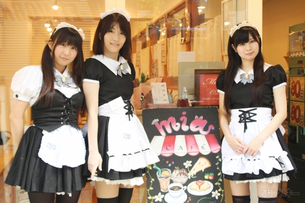 アキバ食い倒れ2012メイドカフェ編2