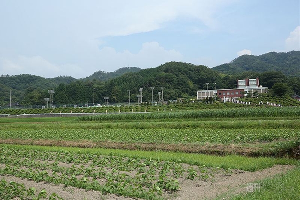 ニコニコ町会議鳥取