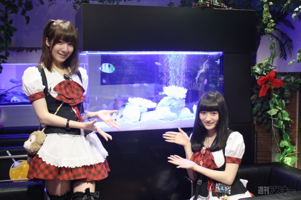 【アキバ食い倒れ部2012】メイドカフェ編3