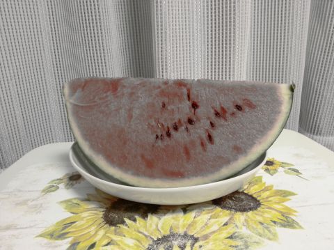 GALAXY S IIIのカメラ機能