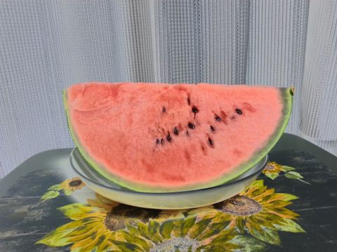 GALAXY S IIIのカメラ機能