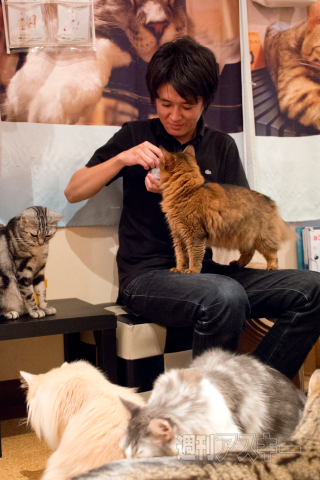 ネコカフェ行ってきた