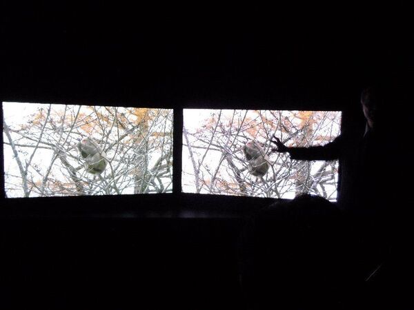 シャープは2013年発売の60V型4Kテレビをデモ