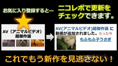 ニコニコ町会議八丈島