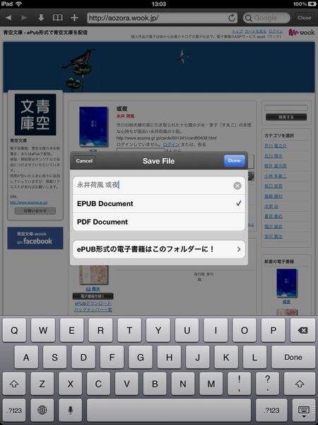 ReaddleDocs for iPad