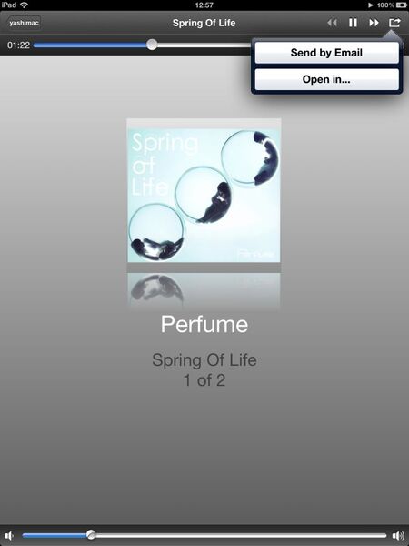 ReaddleDocs for iPad