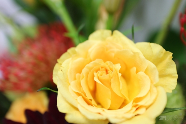 EOS M ダブルレンズキット