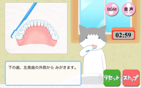 『ニャン！とはみがき』