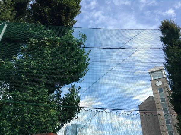 第5世代iPod touchファーストインプレ！