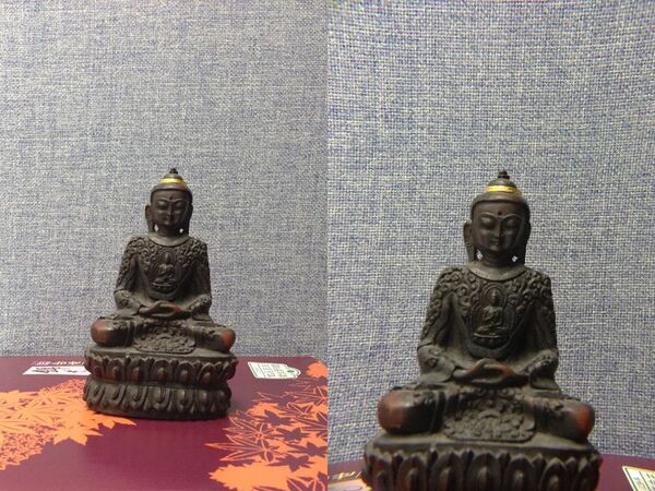 iPhone 5に対応したカメラジャケット登場