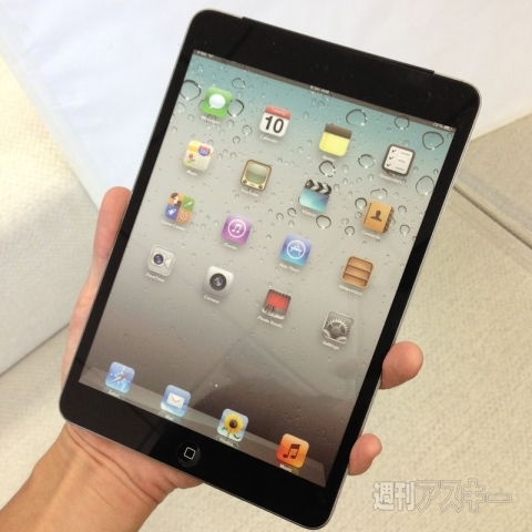 iPad mini：週間リスキー