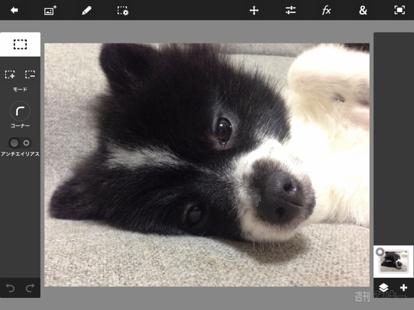 iPad miniにも最適化『Adobe Photoshop Touch』がバージョンアップ