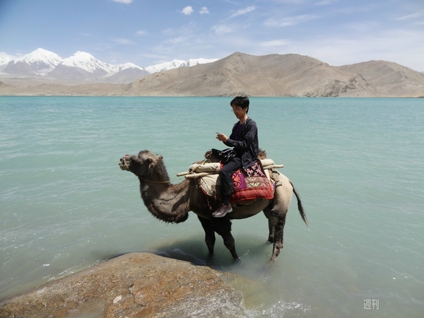 パケット警察インタビュー