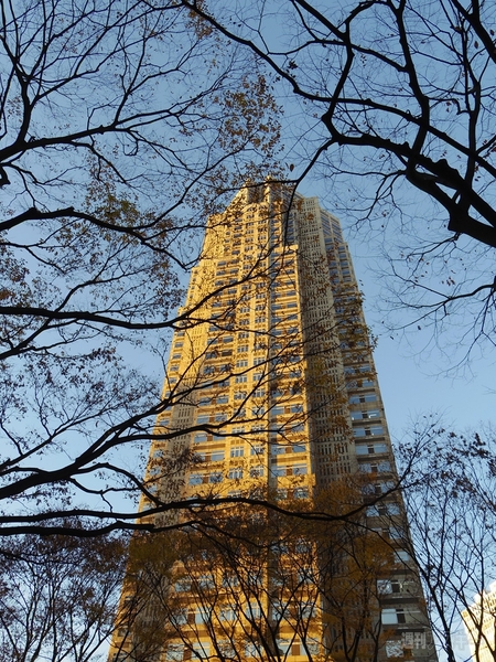 Q10を使ってみた