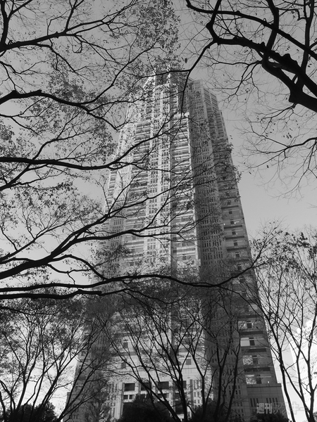 Q10を使ってみた