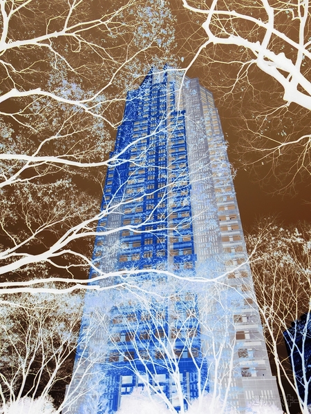 Q10を使ってみた