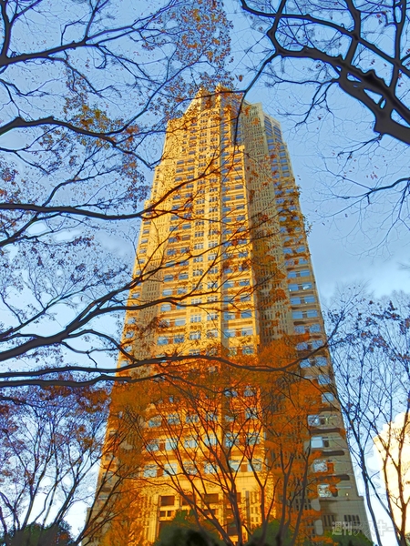 Q10を使ってみた