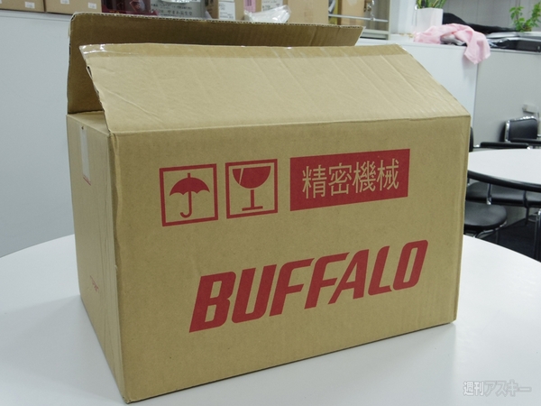 バッファロー福袋