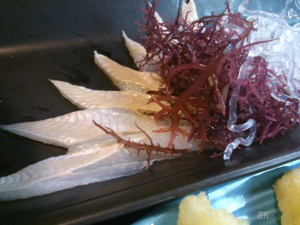 Windows8キャラバンin福岡