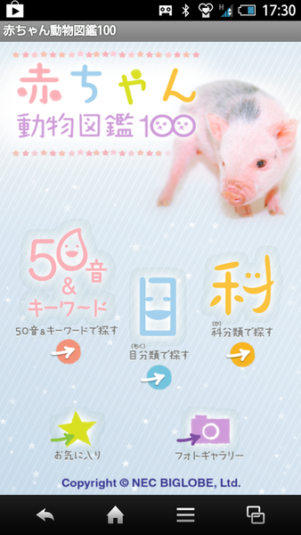 赤ちゃん動物図鑑100