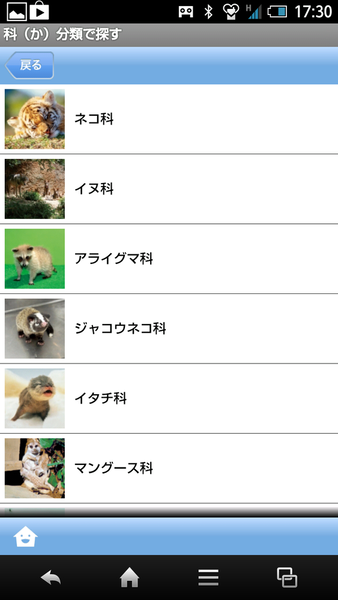 赤ちゃん動物図鑑100