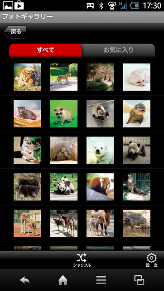 赤ちゃん動物図鑑100