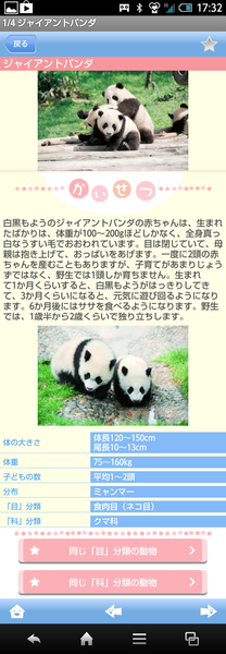 赤ちゃん動物図鑑100