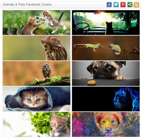 Facebook Cover Maker ＆ Editor